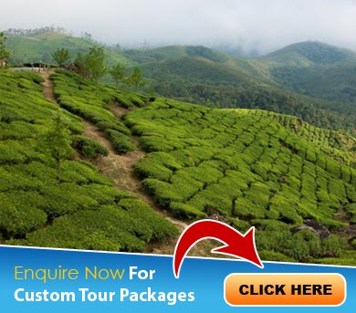 Kannur Tour Packages